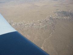 Fort Sumner NM Windmills - 3.jpg